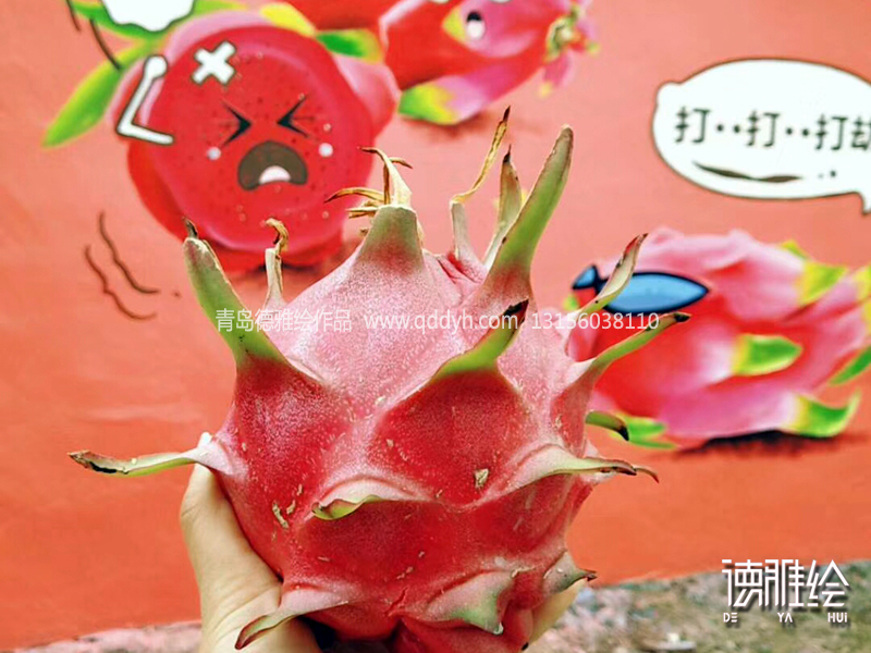 文化墙彩绘-青岛胶北和睦屯蔬果采摘园手绘-火龙果